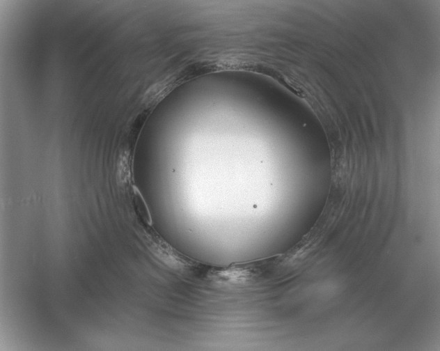 X0000056010478200509092117