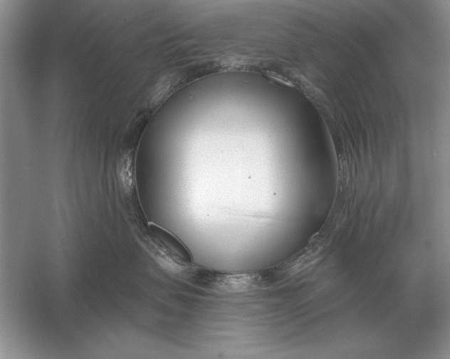 X0000056010479200509092117