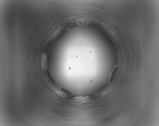 X0000056010480200509092117