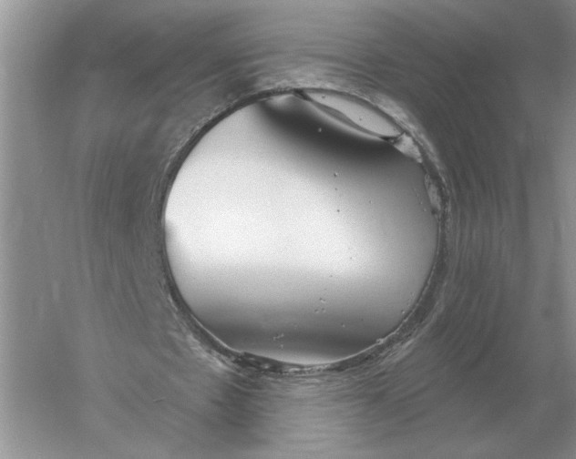 X0000056010481200509092116