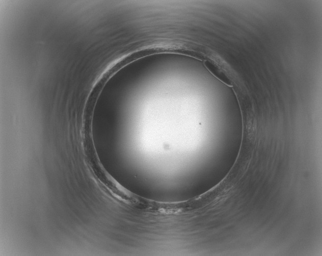 X0000056010484200509092116