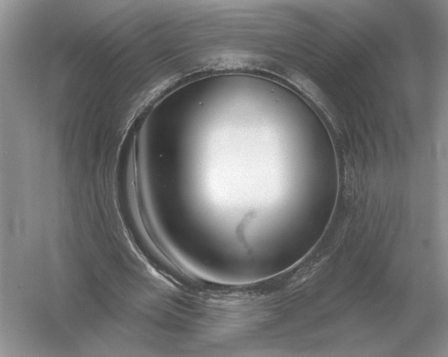 X0000056010485200509092116