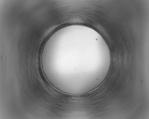 X0000056010487200509092116