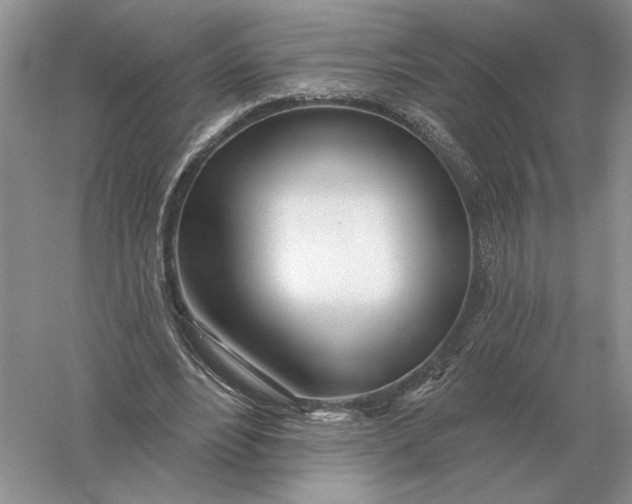 X0000056010488200509092116