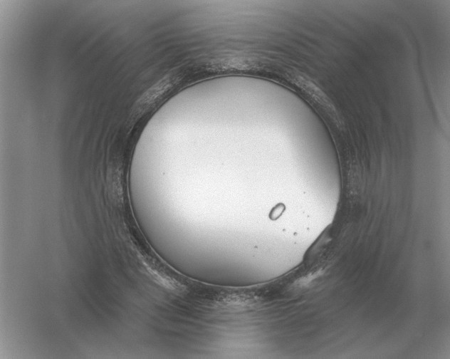 X0000056010489200509092116