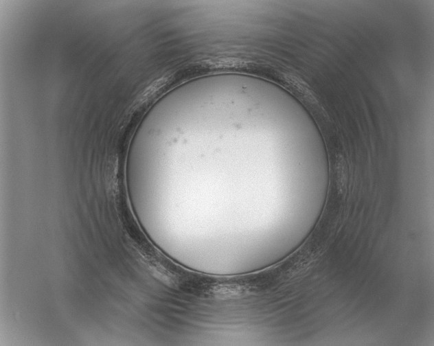 X0000056010490200509092116