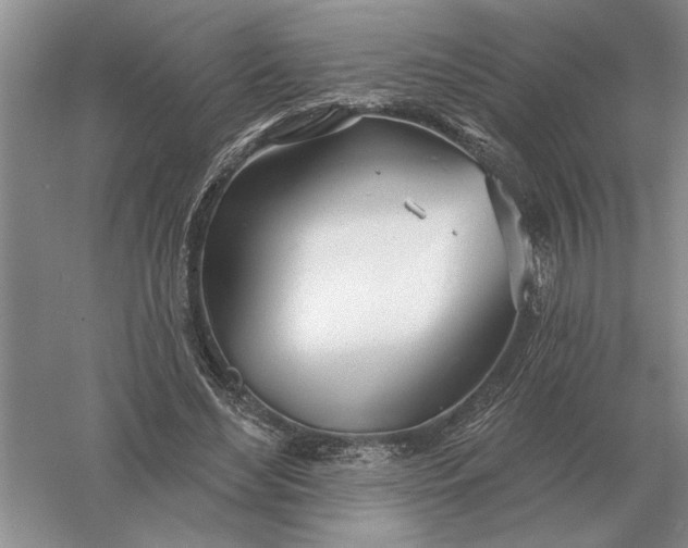 X0000056010492200509092116