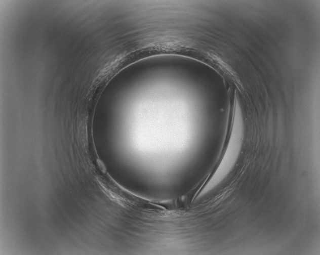 X0000056010493200509092116