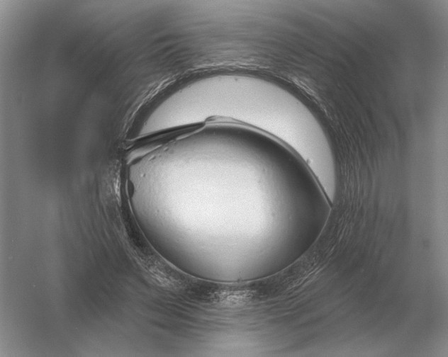 X0000056010495200509092116