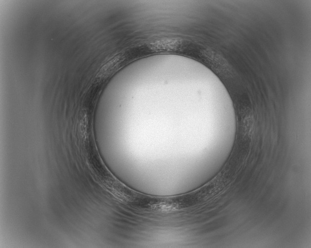 X0000056010498200509092116