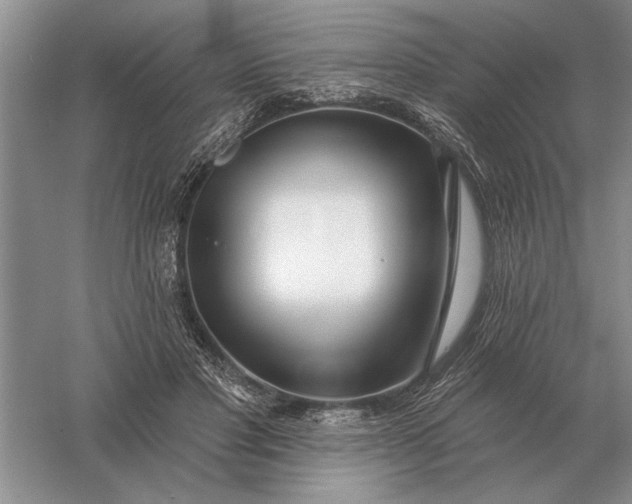 X0000056010501200509092116