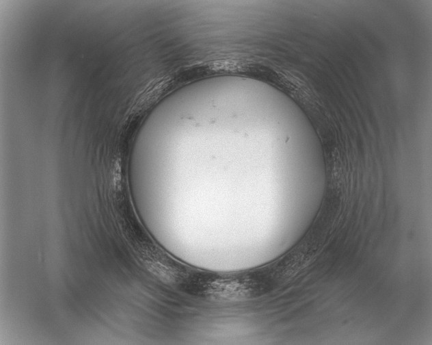 X0000056010502200509092116