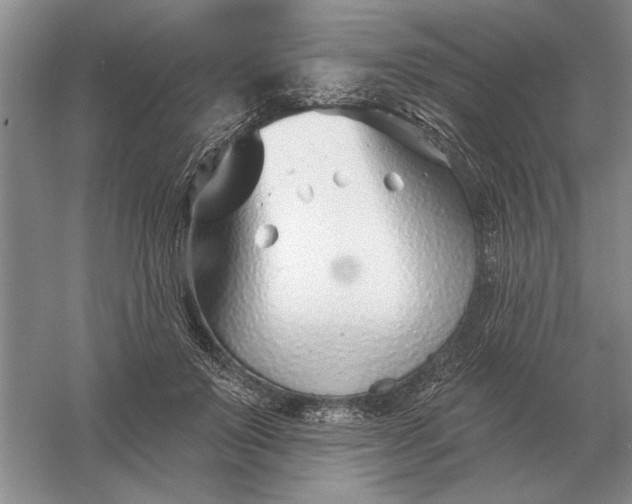 X0000056010503200509092115