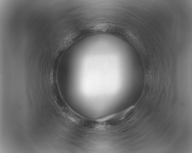 X0000056010504200509092115