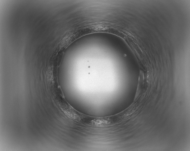 X0000056010512200509092115