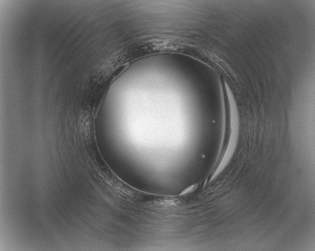 X0000056010513200509092115