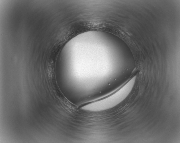 X0000056010515200509092115