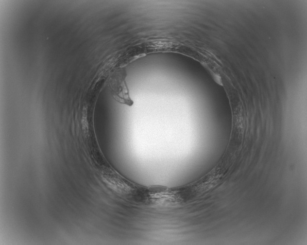 X0000056010516200509092115