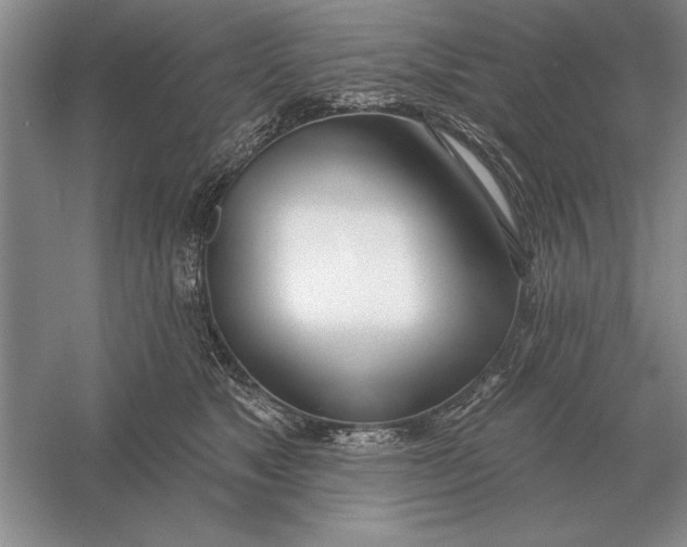 X0000056010517200509092115