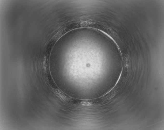 X0000056010519200509092115