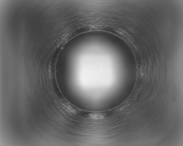 X0000056010520200509092115