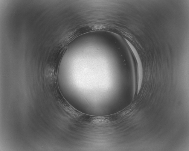 X0000056010521200509092115