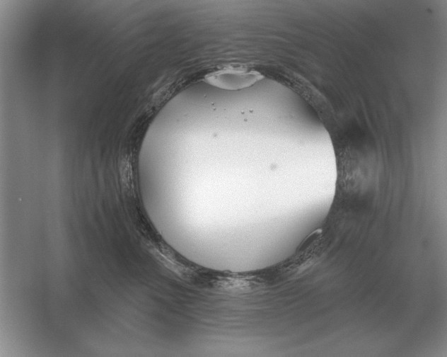 X0000056010523200509092115