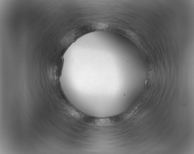 X0000056010525200509092115
