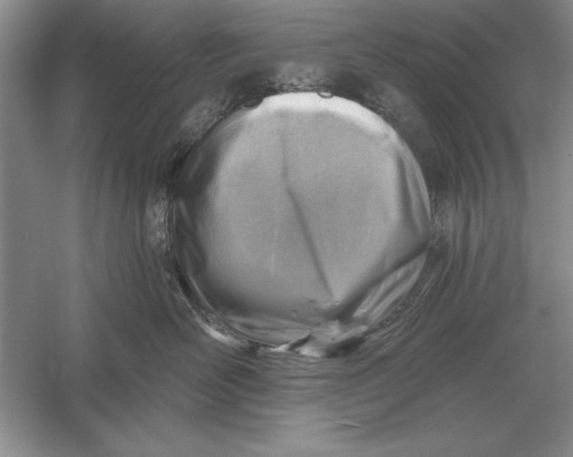 X0000056010526200509092115