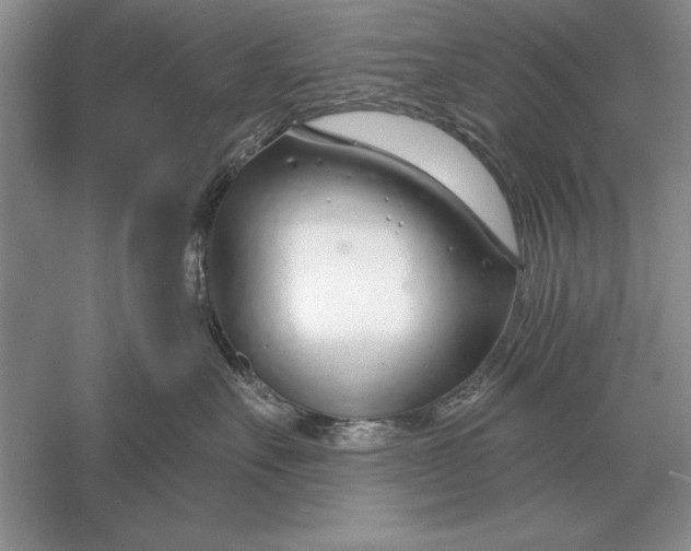 X0000056010527200509092115