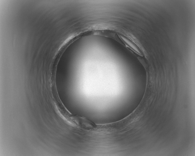 X0000056010530200509092114