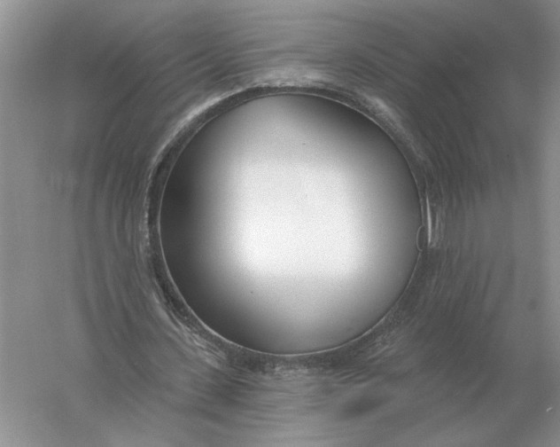 X0000056010531200509092114