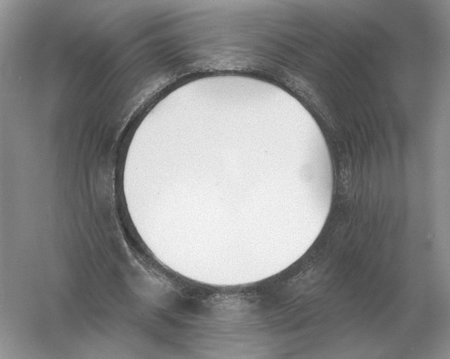 X0000056010534200509092114