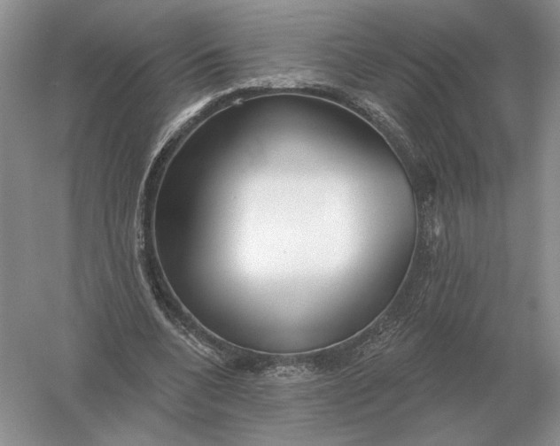 X0000056010536200509092114