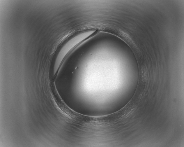 X0000056010538200509092114