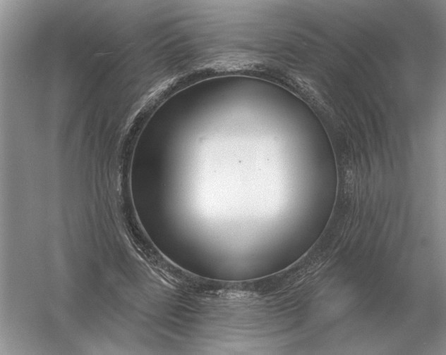 X0000056010539200509092114
