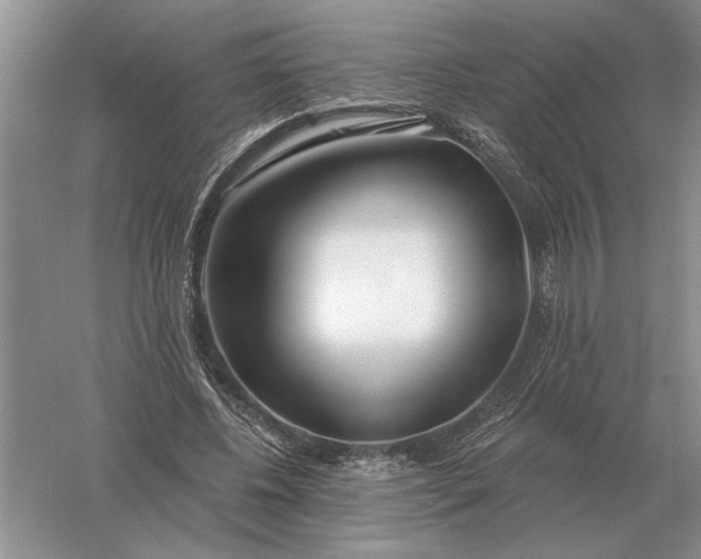 X0000056010540200509092114