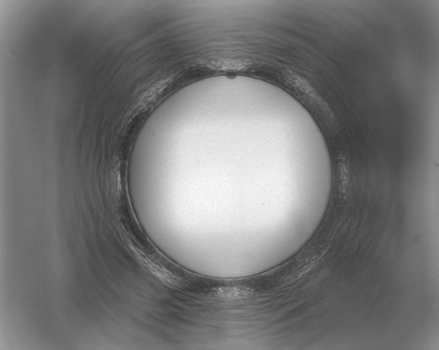 X0000056010541200509092114