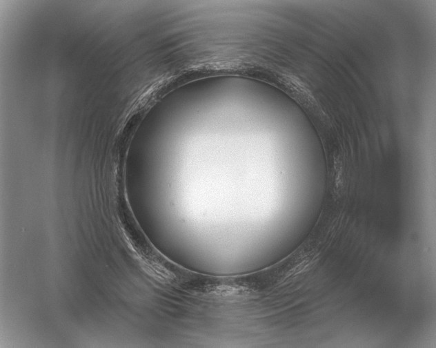 X0000056010542200509092114