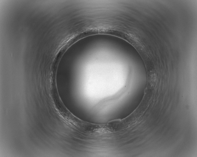 X0000056010544200509092114