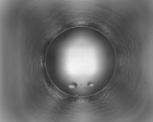 X0000056010546200509092115