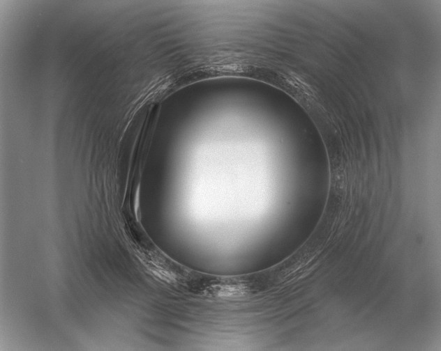 X0000056010552200509092115