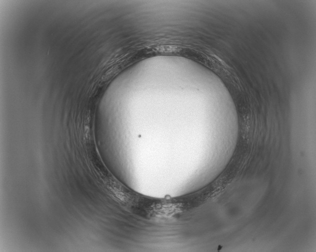 X0000056010553200509092115