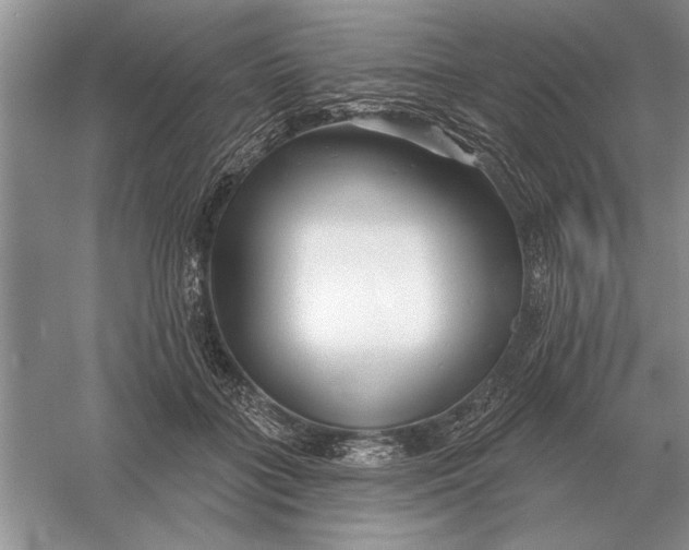 X0000056010555200509092115