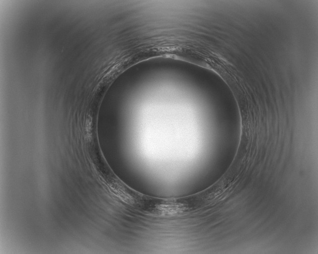 X0000056010556200509092115