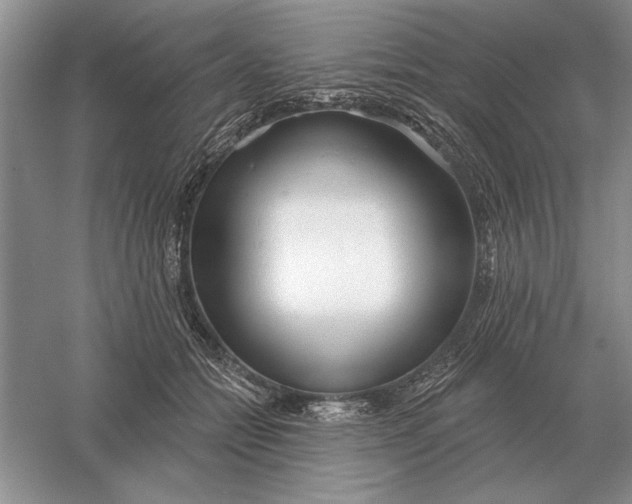 X0000056010558200509092115