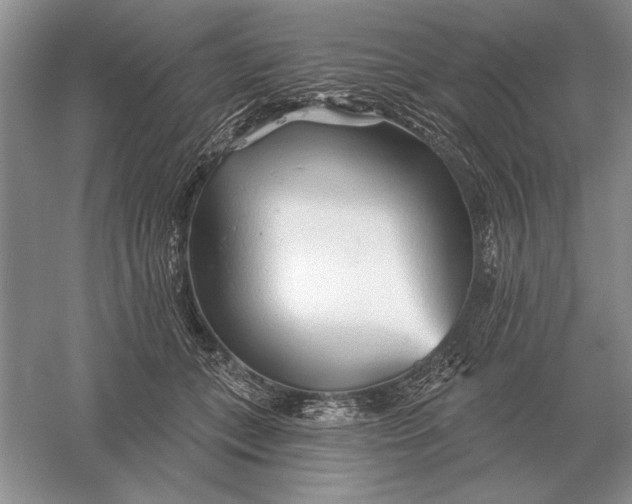 X0000056010559200509092115