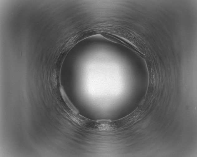 X0000056010562200509092115