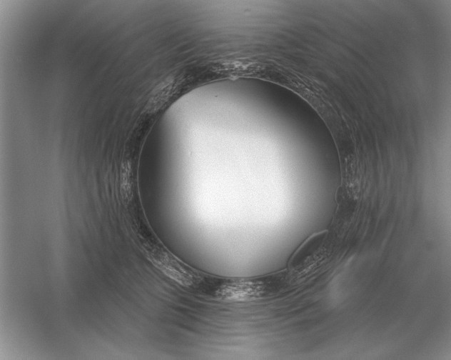 X0000056010563200509092115