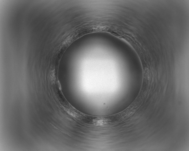 X0000056010564200509092115